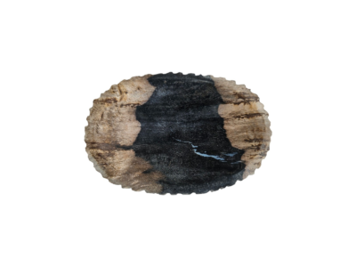 porte savon bois fossile salle de bain