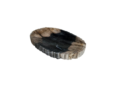 porte savon bois fossile unique