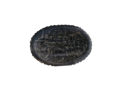 porte savon bois petrifie noir profond