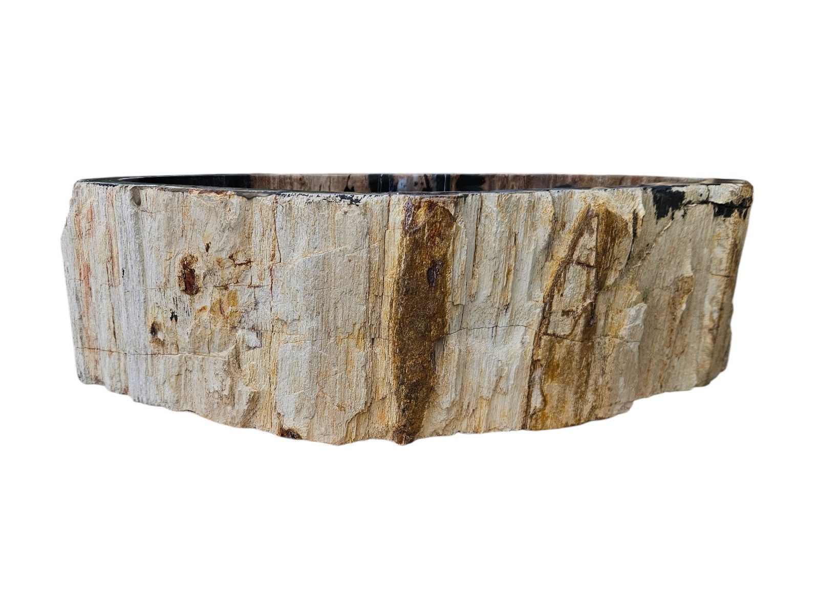 vasque bois petrifie fossilise