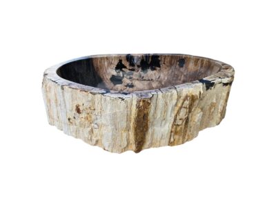 vasque en bois petrifie